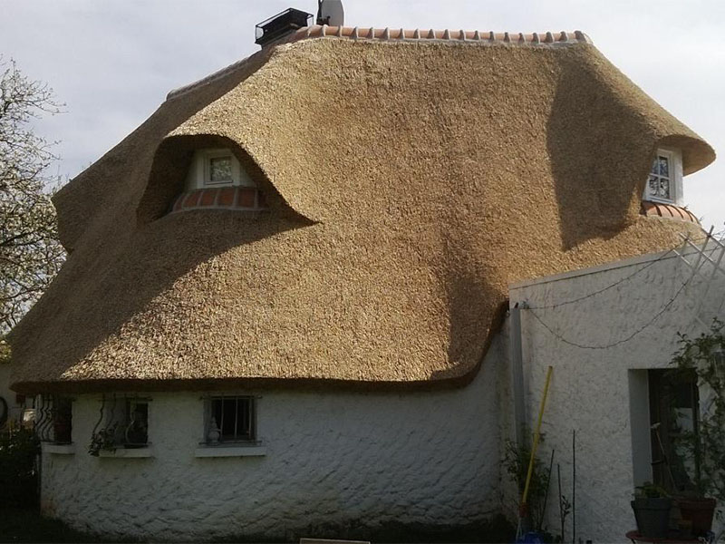 Entretien de toiture en chaume Versailles